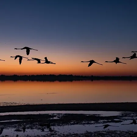 Ria De Aveiro White House 度假居 *