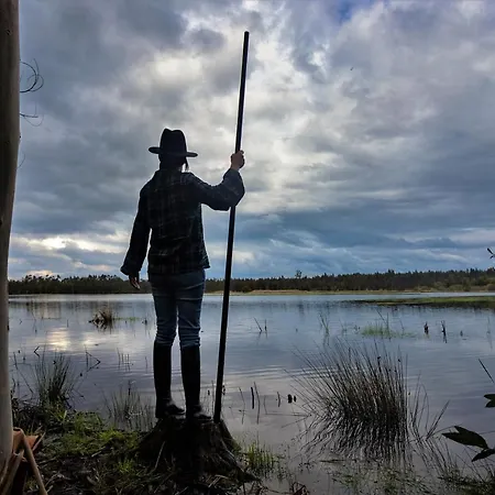 度假居 Ria De Aveiro White House Murtosa