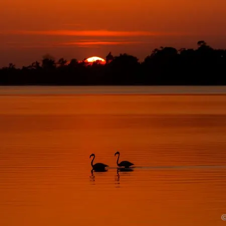 度假居 Ria De Aveiro White House Murtosa