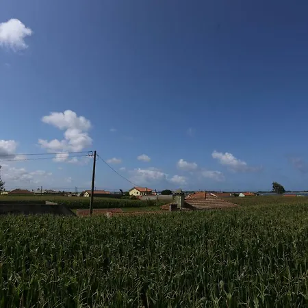 Ria De Aveiro White House Σπίτι διακοπών