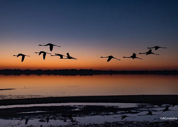 Ria De Aveiro White House Casa vacanze *