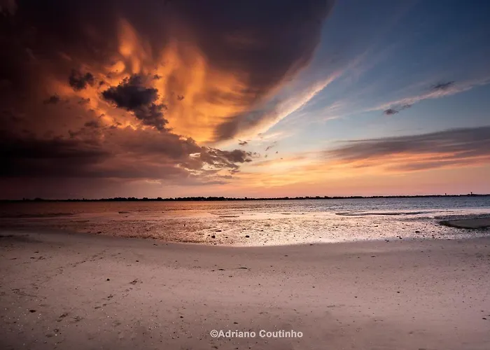 Ria De Aveiro White House *