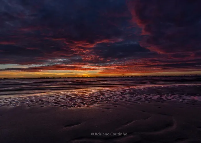 Ria De Aveiro White House