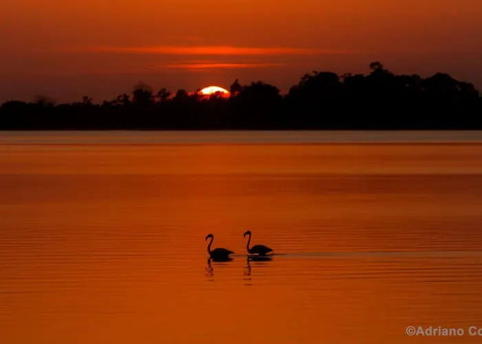 Casa vacanze Ria De Aveiro White House Murtosa