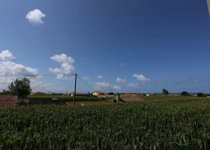 Ria De Aveiro White House Feriehus